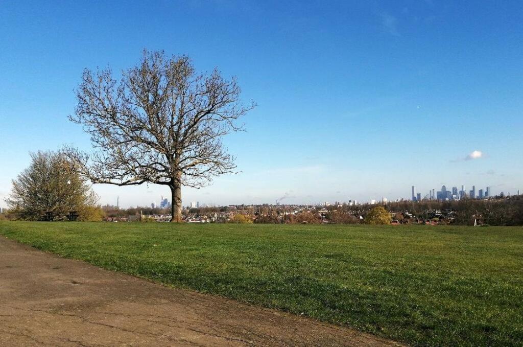 Apartment Spacious Modern 1-bedroom In Catford - Excellent Transport Links - Ideal For Long London